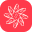 Logo di FONDAZIONE CARLO E MARIA PIA BALLERINI ENTE FILANTROPICO