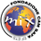 Logo di FONDAZIONE CENTRO ANIMAZIONE MISSIONARIA SACRA FAMIGLIA ENTE FILANTROPICO ETS