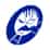 Logo di GRUPPO PUGLIA GROTTE APS