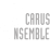 Logo di ENSEMBLE ICARUS APS