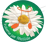 Logo di INSIEME PER MATILDE APS
