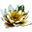 Logo di LINFA ASSOCIAZIONE CONTRO IL CANCRO ODV