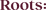 Logo di ROOTS SOCIETA' COOPERATIVA - IMPRESA SOCIALE