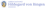 Logo di VEREIN HILDEGARD VON BINGEN VFG