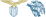 Logo di ASSOCIAZIONE DI PROMOZIONE SOCIALE SOCIETA' SPORTIVA LAZIO BURRACO ETS-APS