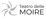 Logo di ASSOCIAZIONE CULTURALE TEATRO DELLE MOIRE ETS