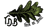 Logo di TOUR DE BOSC APS