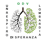 Logo di UN RESPIRO DI SPERANZA LOMBARDIA ODV