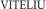 Logo di VITELIU Ente del Terzo Settore