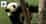 Logo di ODV WWF UMBRIA ETS