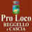 Logo di ASSOCIAZIONE TURISTICA PRO LOCO DI REGGELLO E CASCIA APS