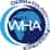 Logo di WORLD HEALTH ACADEMY OF DERMATOLOGY AND PEDIATRICS ETS