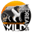 Logo di WILD DREAMS ASSOCIAZIONE SPORTIVA DILETTANTISTICA E DI PROMOZIONE SOCIALE